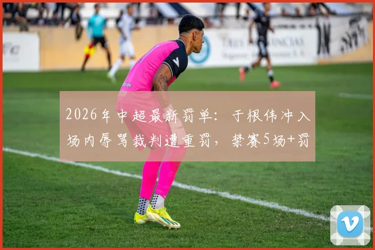 2026年中超最新罚单：于根伟冲入场内辱骂裁判遭重罚，禁赛5场+罚款5万元详解